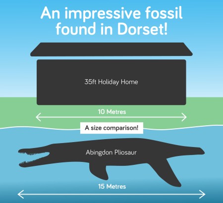 Fossil the size of a holiday home found in Dorset