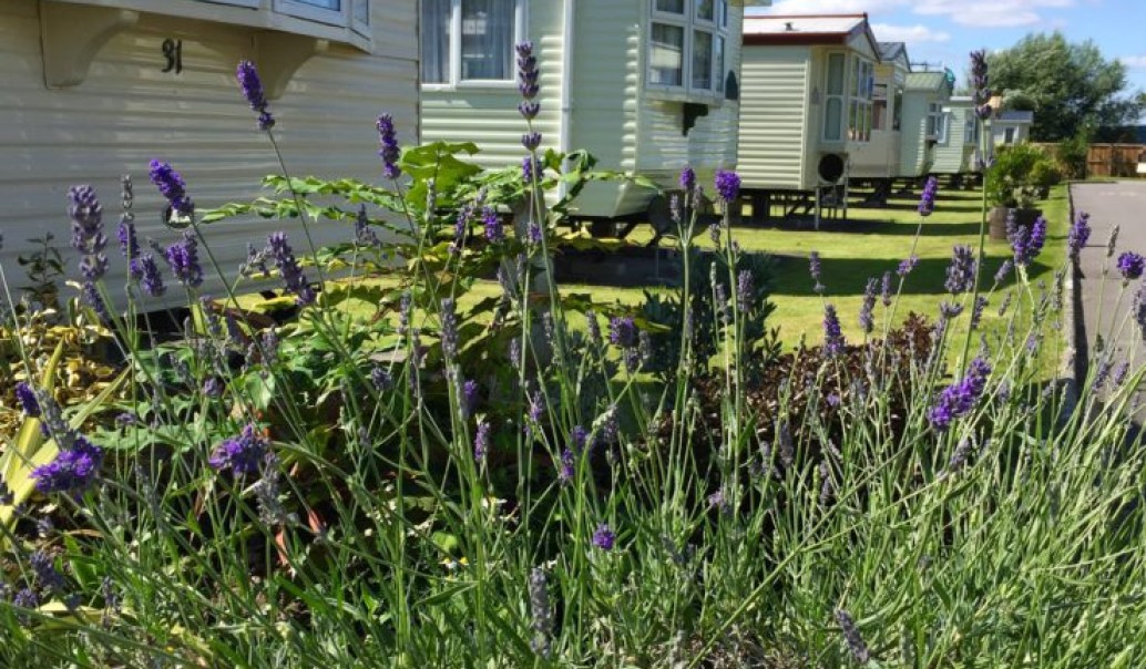 Meadow Lee Holiday Park in Weston Super Mare in Somerset