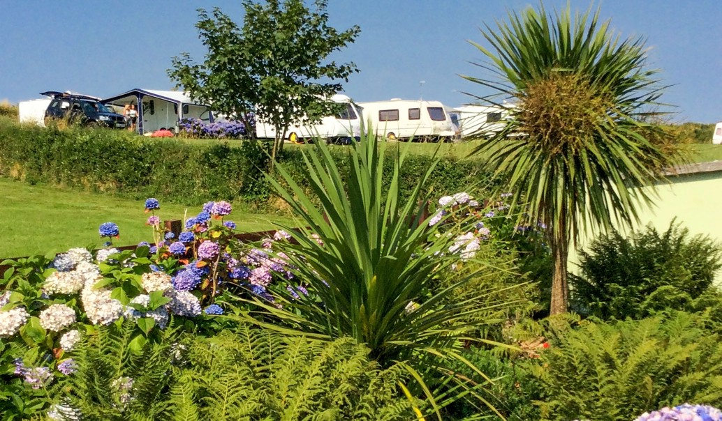 view of the grounds at Music Water Holiday Park