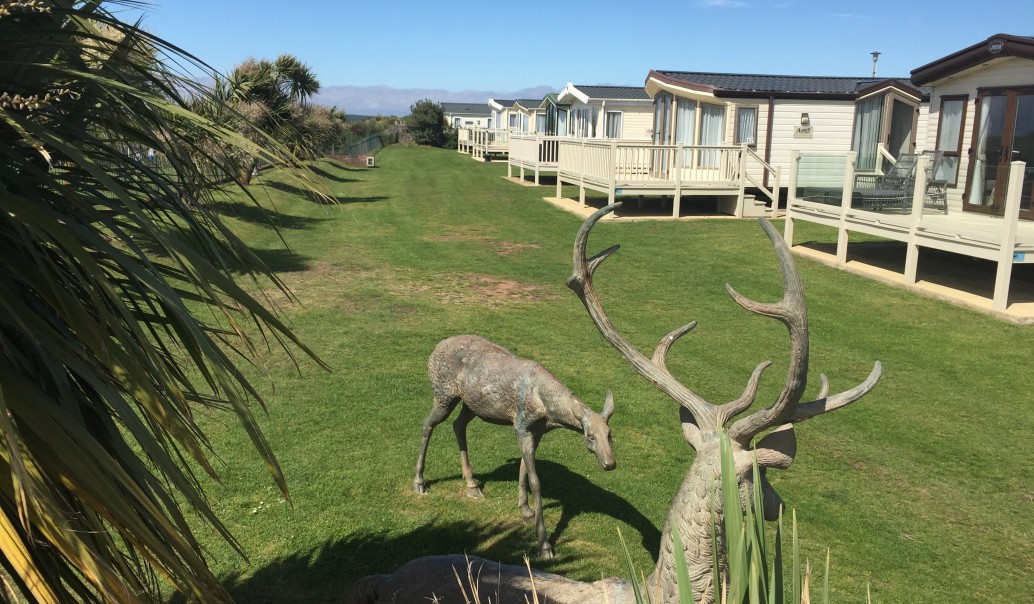 New Dolphin  Caravan park image