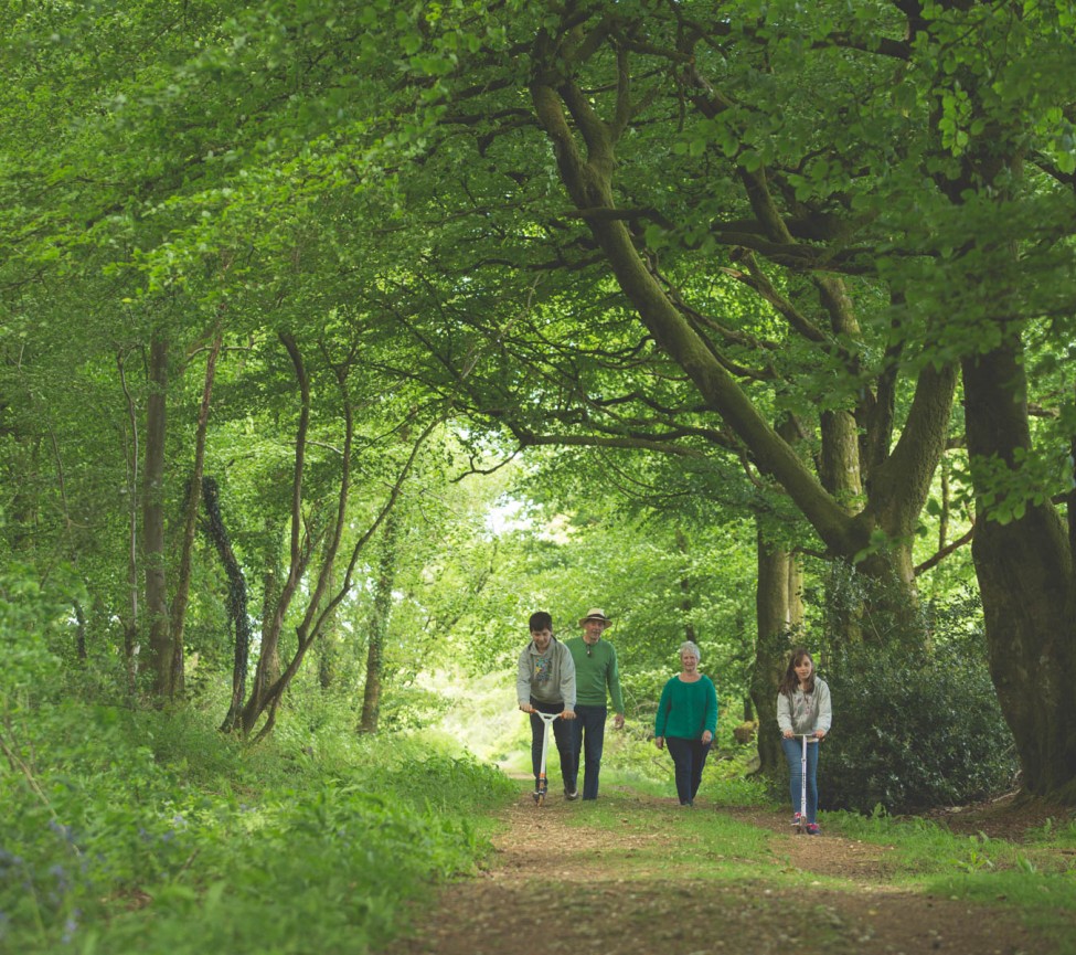 wlaks nearby at Forest Glade Holiday Park