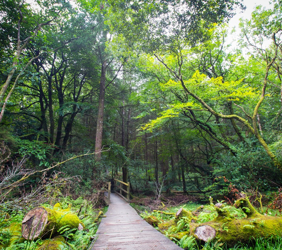 Smytham Holiday Park walks around the gardens 