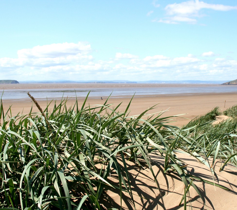 view to the beach at Yellow Sands Holiday Park